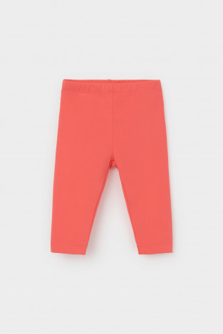 Бриджи для девочки, артикул: КП 4321, цвет: красный - 2 фото